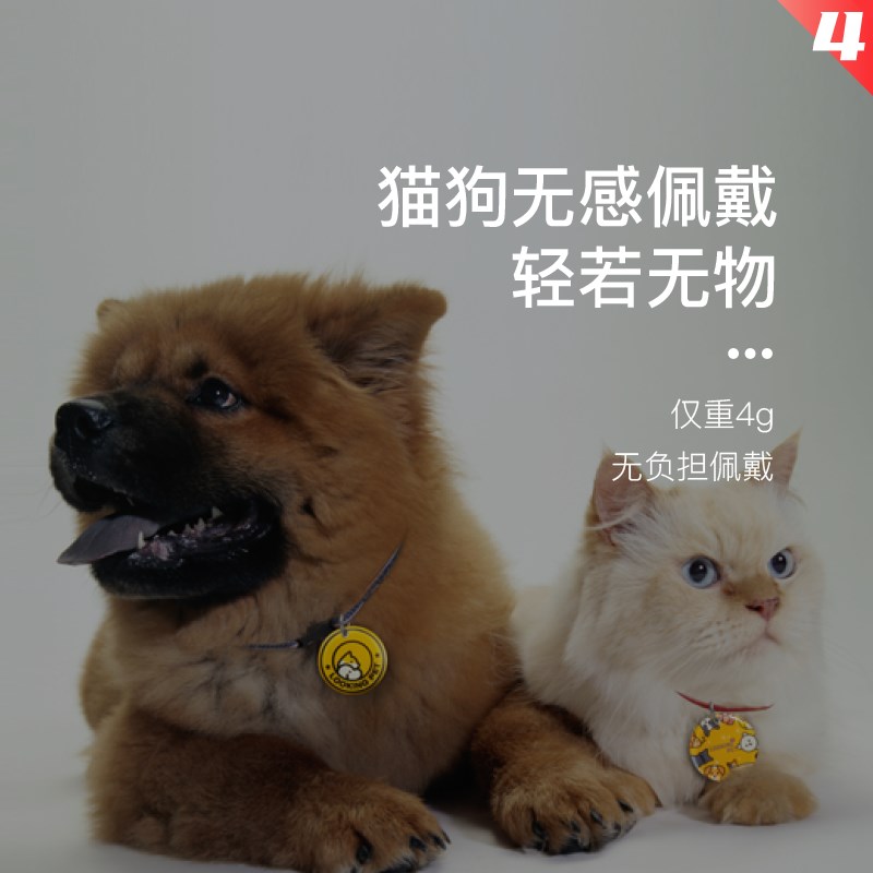 撸宠2代防丢牌 宠物卡可爱卡通防丢卡挂牌挂饰防走失猫狗通用追踪