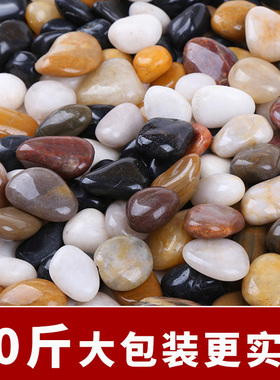40斤鹅卵石雨花石原石天然小石子盆栽园艺五彩鱼缸花盆鹅软石装饰