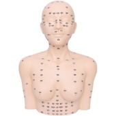 皮肤管理头模特美容院学习脸部穴位按摩练手法假人光头模型带肩膀