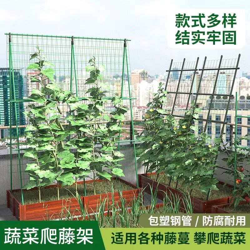 四季豆黄瓜爬藤架豆角攀爬架番茄支撑杆菜盆种菜架植物架花架杆子