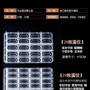 爬宠种龟蛋孵化器无菌蛭石守宫蛇蛋蜥蜴孵化盒保湿透气乌龟孵化箱