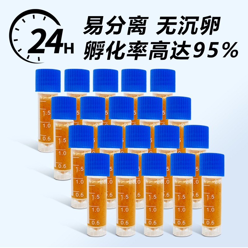 可孵化丰年虾卵大红超细卵新卵卤虫斗鱼孔雀鱼小型鱼开口鱼粮饲料