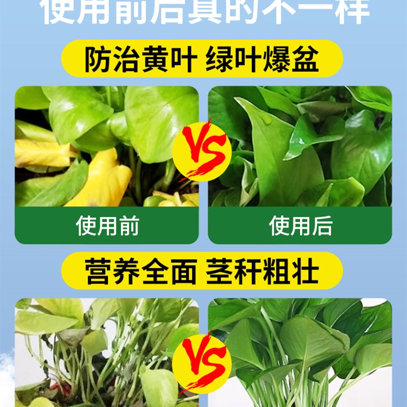绿萝营养液专用肥料室内绿植盆栽有机肥料家用土培水培通用花肥料