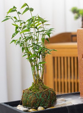 古都陶瓷鱼缸水缸石槽微景观造景瀑布流I水摆件雾化循环水喷泉配