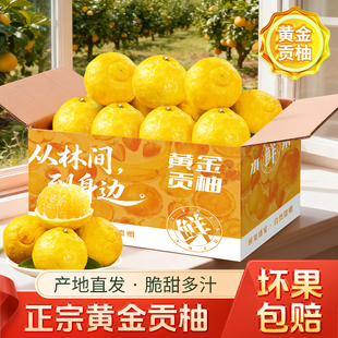 正宗怀化洪江黔阳黄金贡柚岩垅春香桔柚象山青湖南雪峰小甜柚礼盒