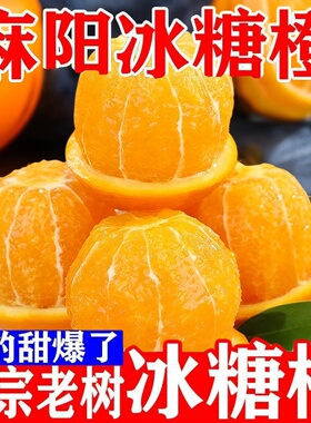 湖南麻阳冰糖橙橙子应当季水果新鲜现摘果冻橙冰糖橙包邮