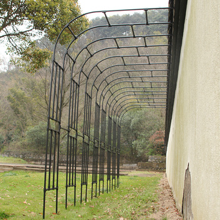 半拱门花架植物爬藤架户外庭院单边拱形支架铁线莲葡萄月季攀爬架