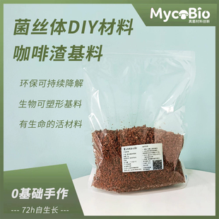 菌丝体DIY生物材料 咖啡渣基材 可降解蘑菇生长灯罩 手工作品