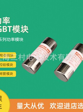 熔断器保险丝FR22AM69V50PK216669 FR22AM50V63PB217696