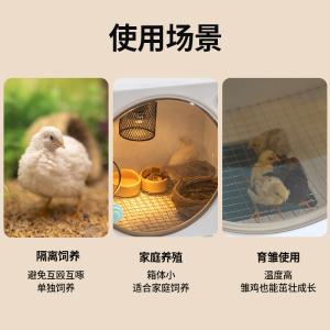 网红鸡育雏保温箱芦丁鸡幼鸡饲养箱雏鸡恒温保暖箱鹌鹑控温保温箱
