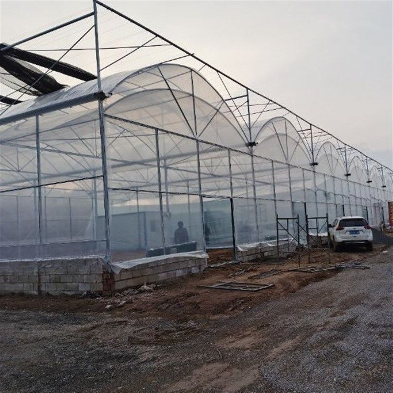 连栋双拱大棚 连栋棚 智能温室大棚 花卉蔬菜种植棚 养殖大棚骨架,农机/农具/农膜,温室大棚支架,淘宝优惠券,粉丝福利购,淘宝优惠卷