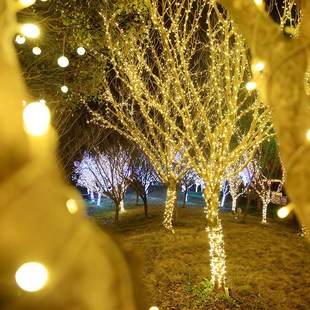 Year String tree Lights Christmas FairPy decoration New LED