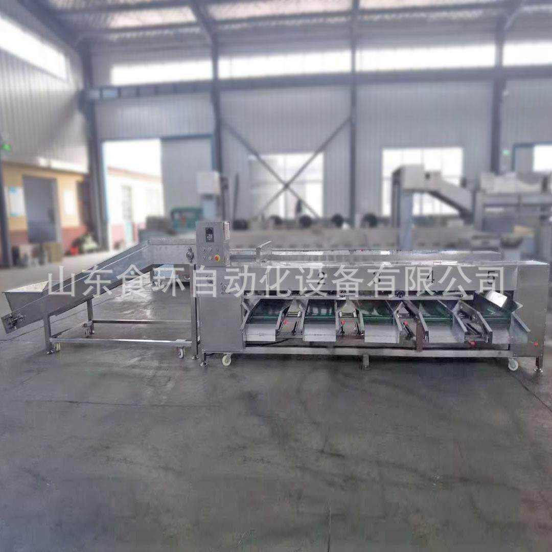 红薯土豆滚杠式分级机农产品大小高速分选机玉米分级机厂家直供,清洗/食品/商业设备,其他食品加工设备,淘宝优惠券,粉丝福利购,淘宝优惠卷