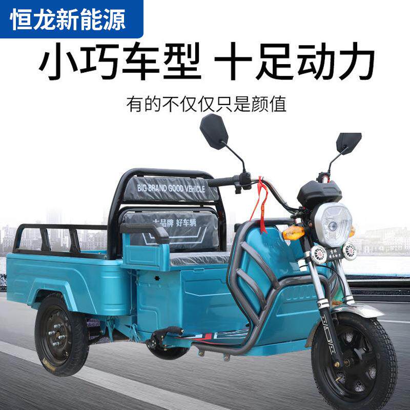 新款小型电动三轮车家用拉货农用载货三轮国标可上牌货运小平板车