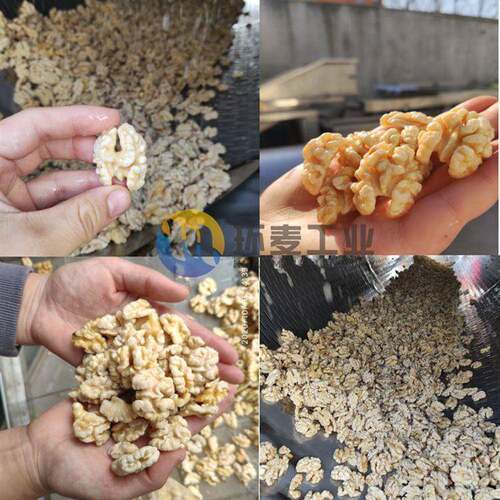 场验机核桃仁去皮机机 现休指HYK闲风味核桃仁脱皮 环麦提供工艺