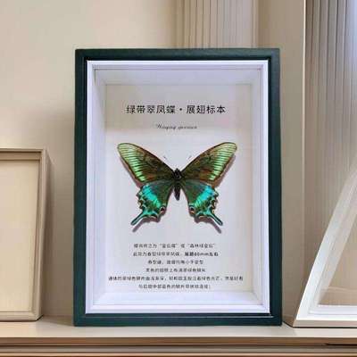 木质中空玻璃立体相框蝴蝶昆虫果实标本装裱摆台黑色展示空画框