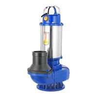 不銹鋼6寸8寸潛水泵220V380V清水泵農(nóng)用灌溉泵大流量高揚(yáng)程抽水泵