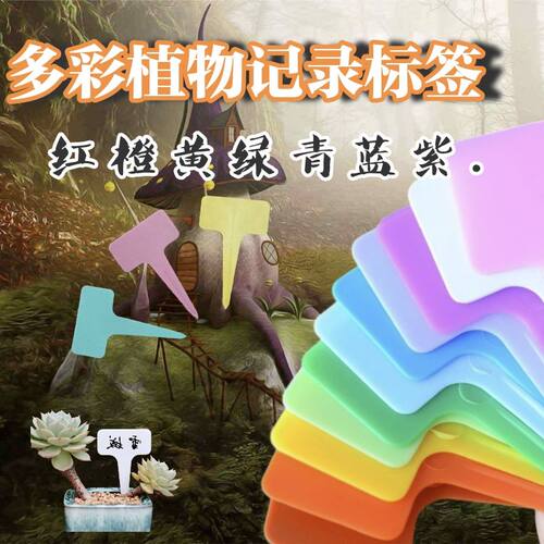 园艺标签牌多肉标签标识T型
