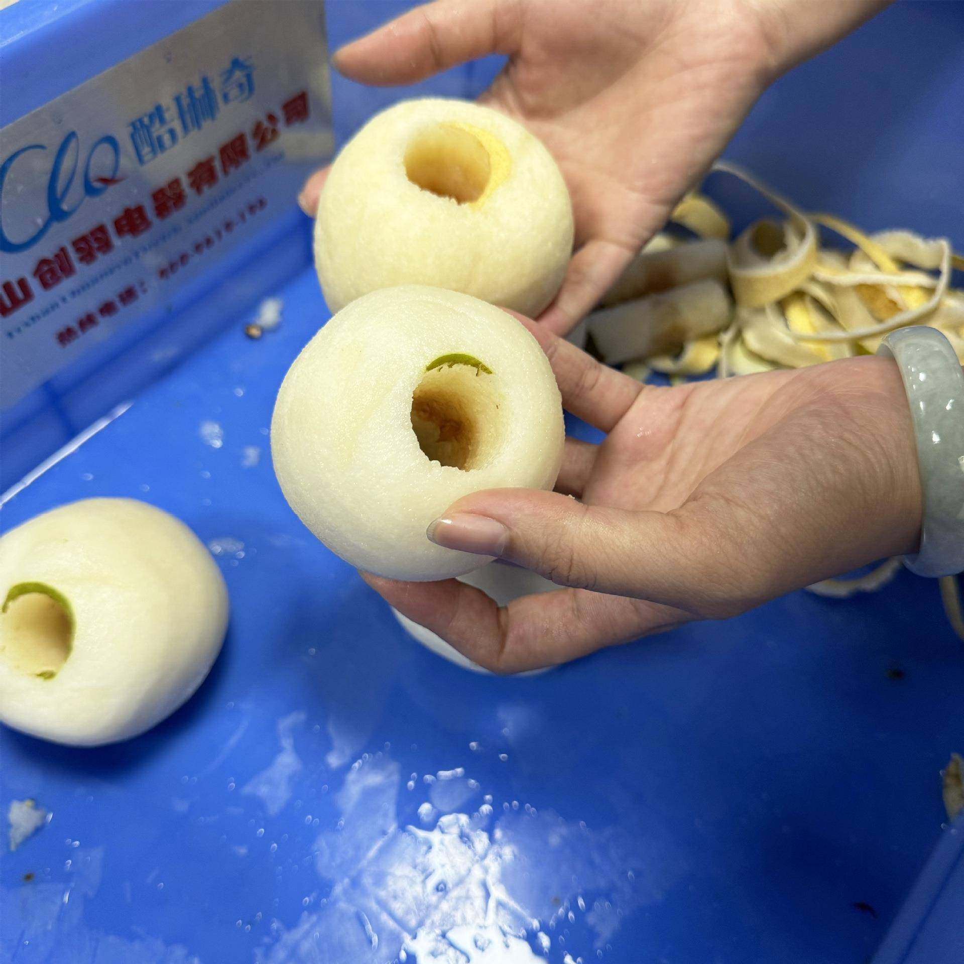 秋月梨取芯削皮一体机立式大型水果苹果去皮捅核切瓣机,清洗/食品/商业设备,其他食品加工设备,淘宝优惠券,粉丝福利购,淘宝优惠卷