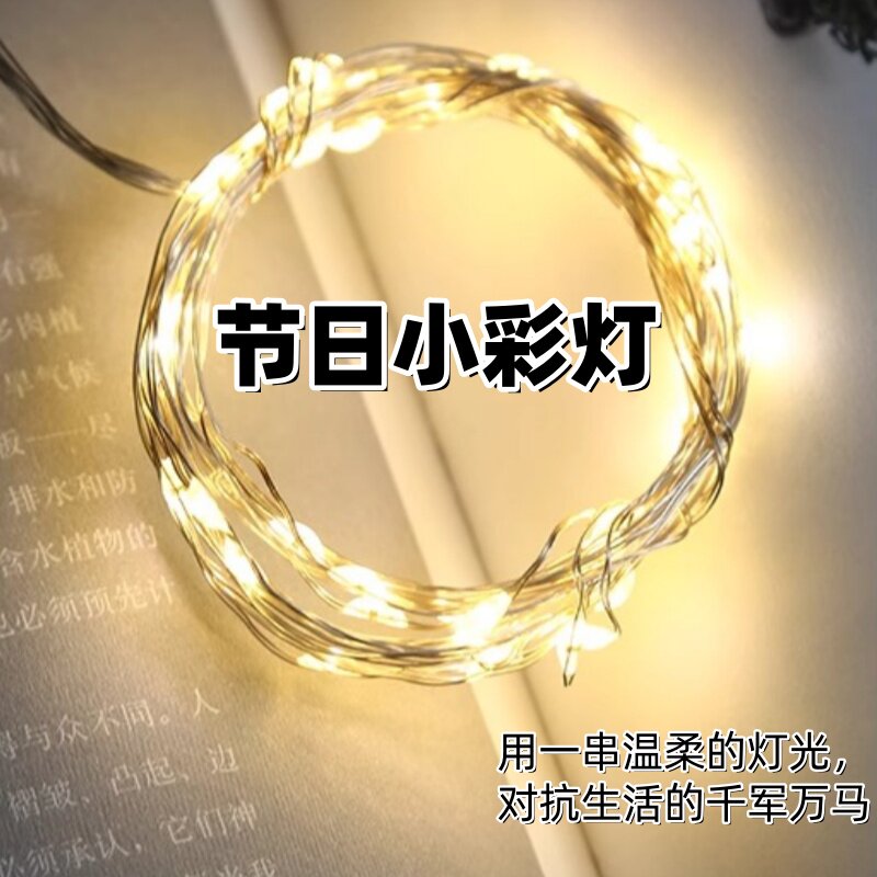 束串卧室闪灯电子LED小发图片