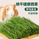 宠物兔子提摩西草干草牧草龙猫荷兰猪饲料食物新烘干头茬北提提草