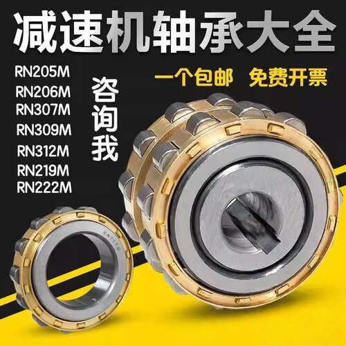 偏心轴承 RN205 RN206 RN307 RN309 204 312 219 222 228 M减速机