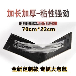 加长厚强力大粘鼠板抓粘大老鼠贴沾胶笼灭捕鼠魔毯克星家用一窝端