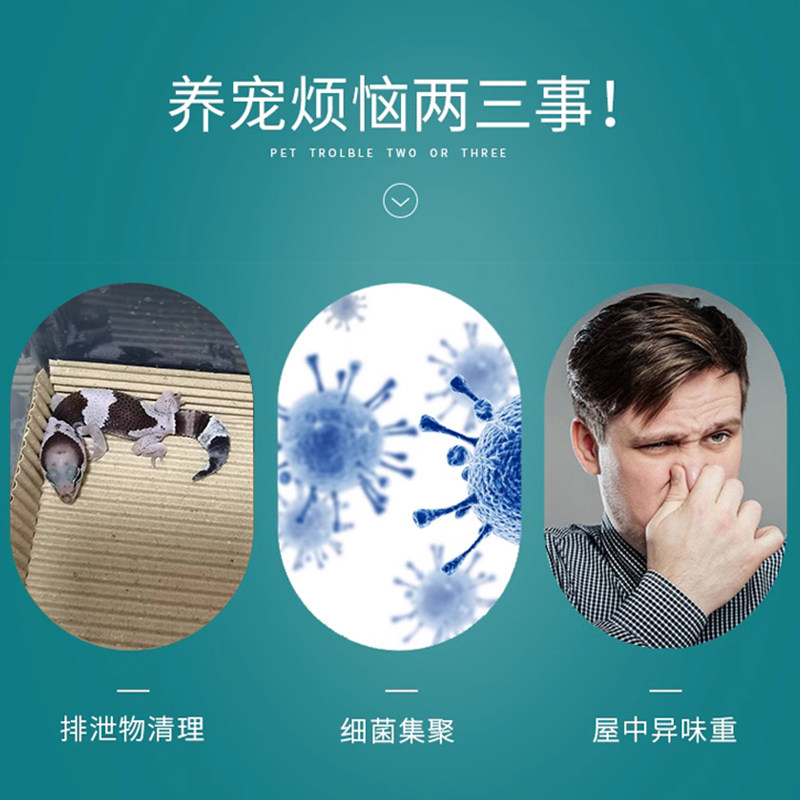 抑菌爬宠垫材瓦楞纸人渣盒饲养箱垫纸板a4睫角守宫鬃狮蛇除臭垫板