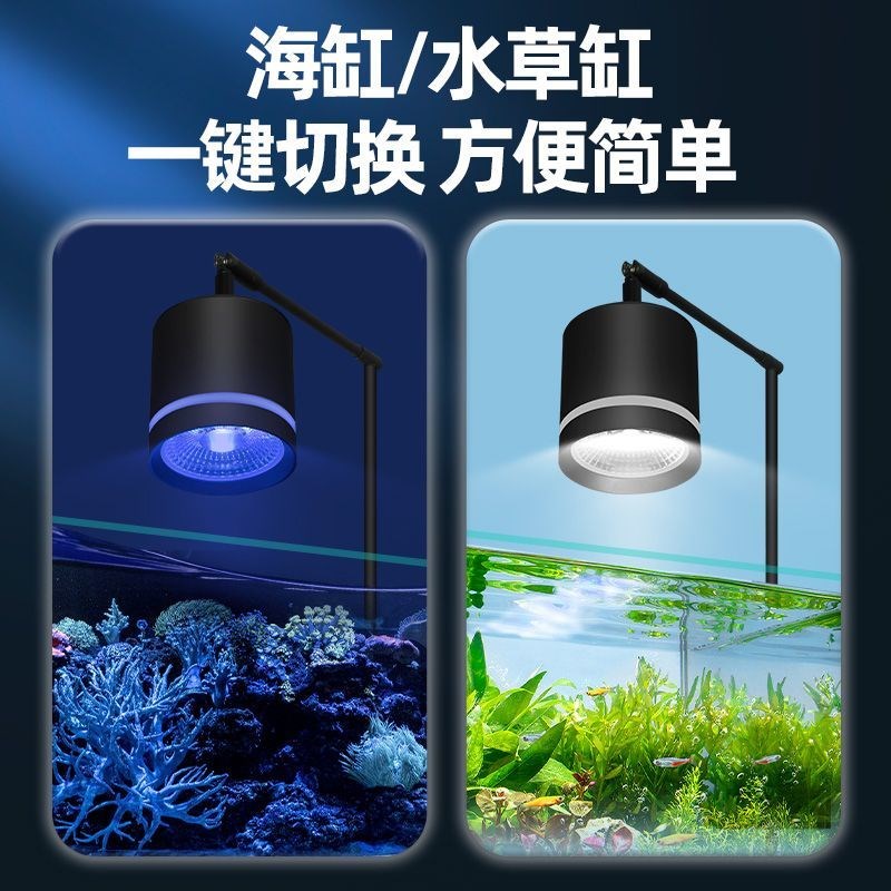 鱼缸海缸灯变色蓝光蓝白led可调筒灯海水缸水草珊瑚造景夹灯