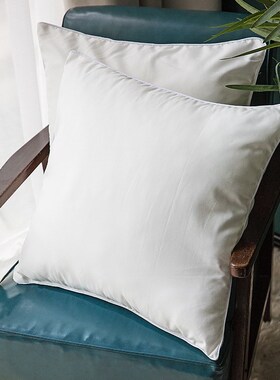 花声抱枕枕芯 靠枕靠垫芯子白色方形抱枕芯