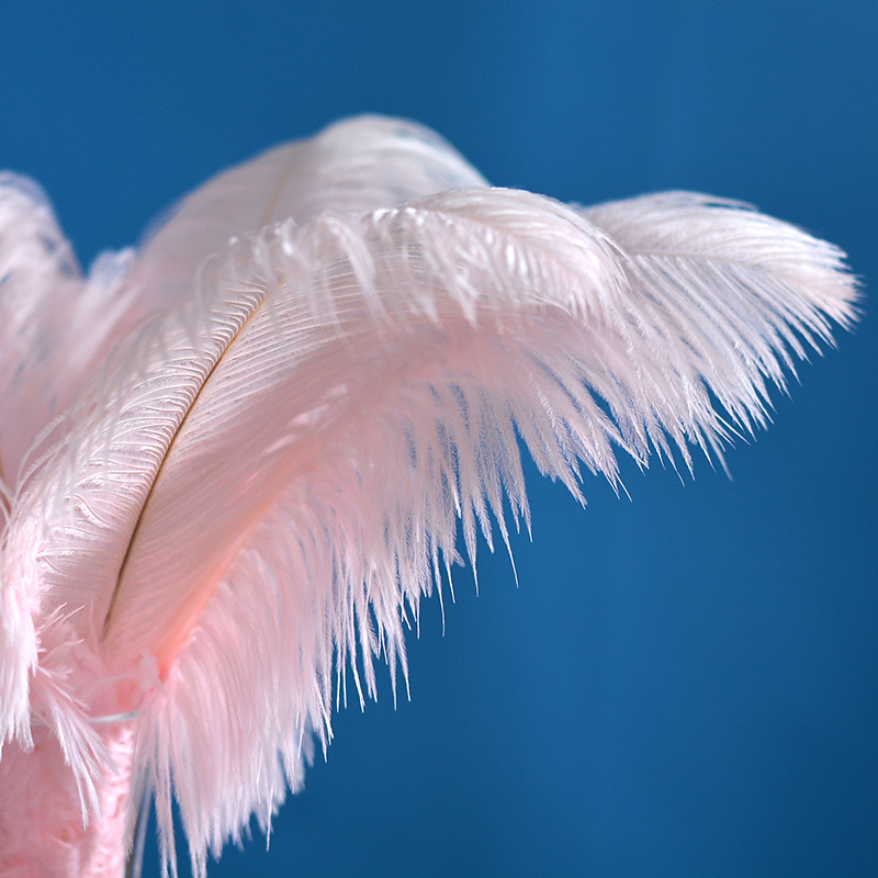 轻奢风羽毛装饰摆件家居客厅女生卧室梳妆台粉色高级感法式摆设