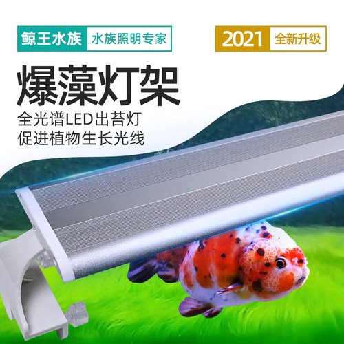 爆藻灯架出苔支架灯兰寿金鱼专用灯鱼缸灯led灯全光谱超亮照明灯
