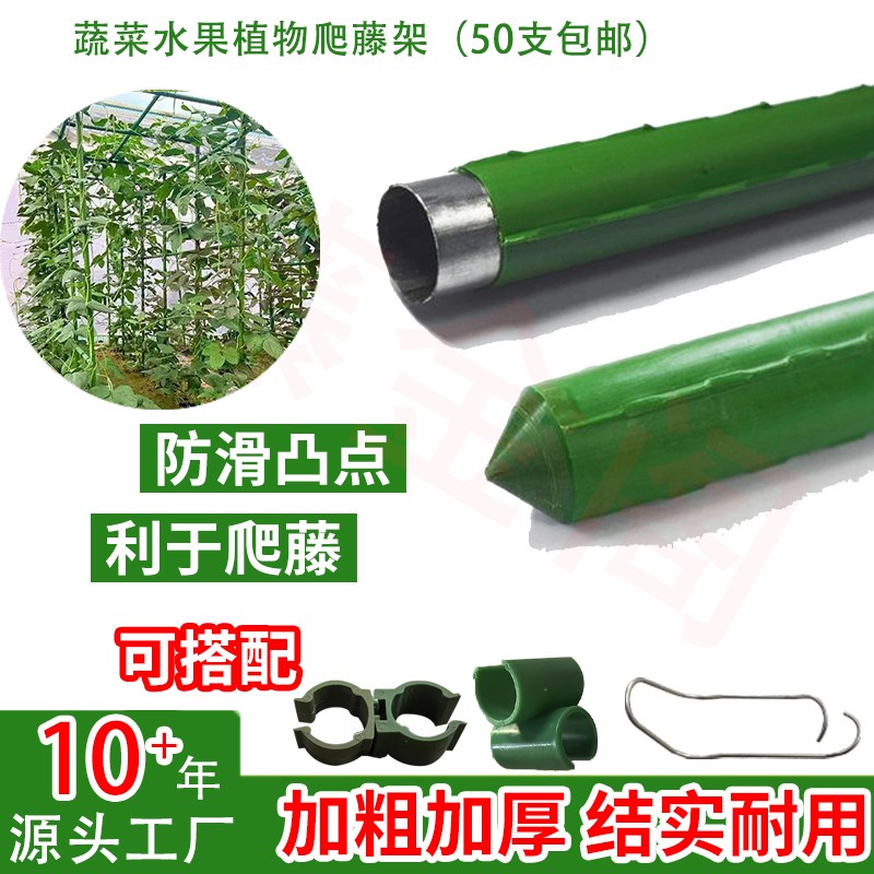 庭院黄瓜架葡萄架豆角支撑架番茄瓜果植物种菜架爬藤支架包塑钢管