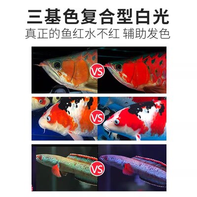 尼奥神灯二代雷龙鱼增艳血鹦鹉孔雀观赏鱼缸灯红鱼发色防水潜水灯