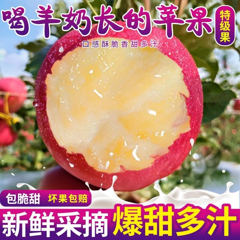正宗山西万荣羊奶苹果当季新鲜红富士孕妇水果一整箱