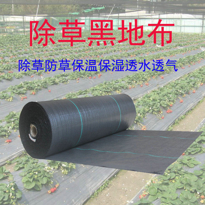 新型黑色除草布加厚农用防草地布果园蔬菜大棚保温保湿透水耐踩踏