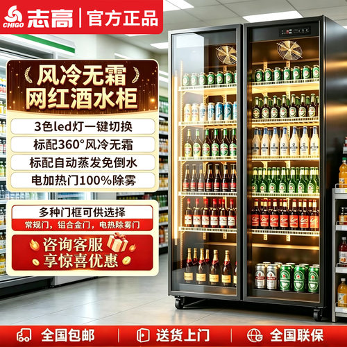 志高饮料展示柜酒水网红啤酒柜