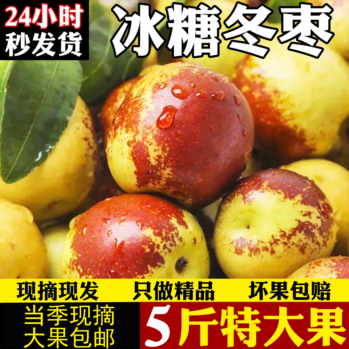 脆甜包邮正宗冬枣新鲜大果应季整箱枣子现摘脆枣冰糖大枣当季水果