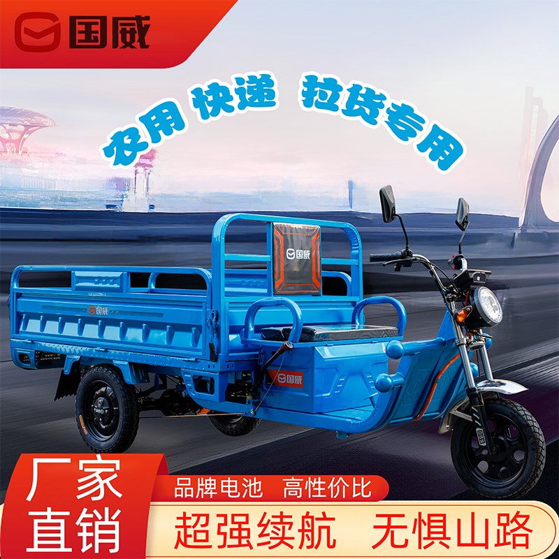 国威电动三轮车载重王拉货新款家用车拉货三轮车快递车农用车
