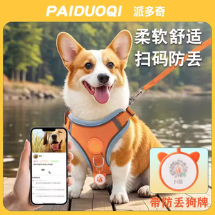狗狗牵引绳背心式 中小型犬柯基柴犬脖圈遛狗绳可调节胸背带狗链子
