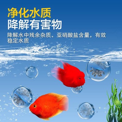 亚甲基蓝观赏鱼专用白点净非鱼药烂身烂尾水霉锦鲤鱼缸水质净化剂