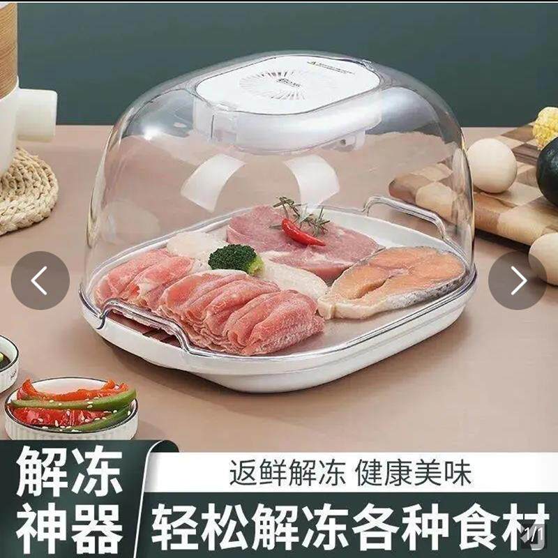 德国科技快速解冻神器2025新款家用食物保鲜机澜一优选商用解冻器
