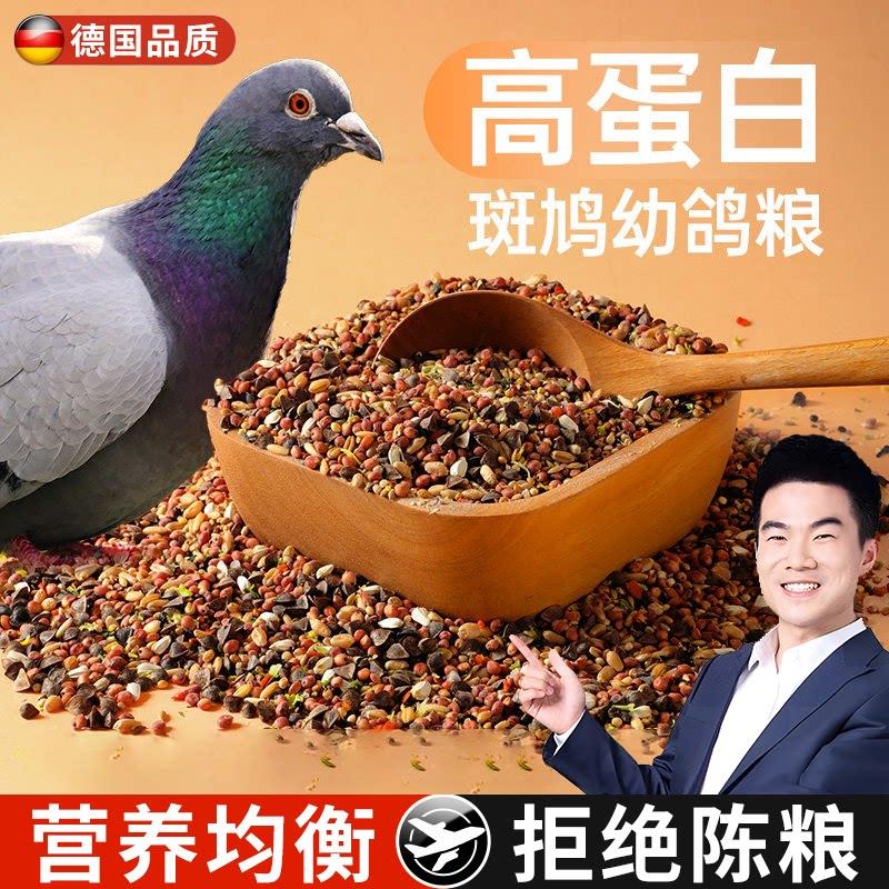 鸽子斑鸠专用食粮鸟粮饲料粮食鸟食小颗粒幼鸽粮高粱小麦营养下蛋