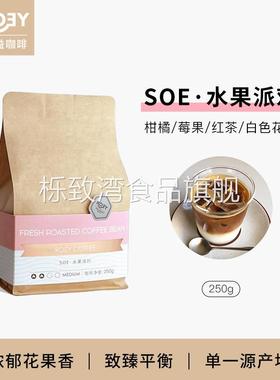 ROEY 水果派对SOE意式咖啡豆埃塞俄比亚耶加雪菲单品咖啡豆250g