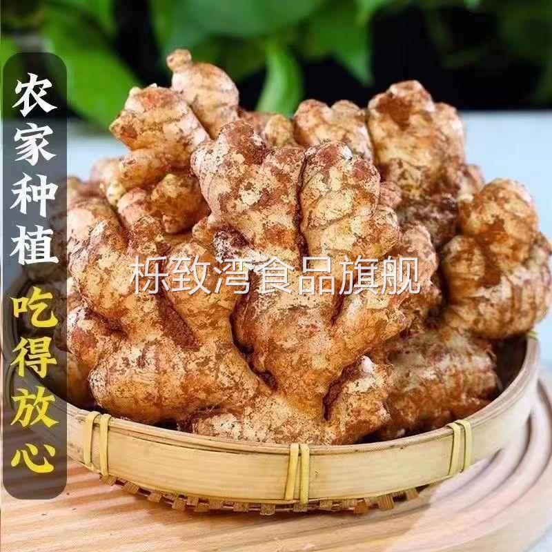 云南小黄姜新鲜生姜老姜现挖现发高山沙姜老姜优质土姜种子现摘