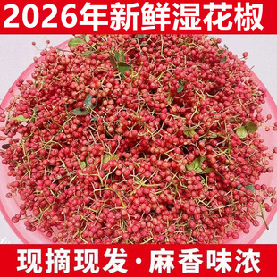 【现摘现发】新鲜大红袍花椒鲜花椒生花椒活花椒批发制作花椒油