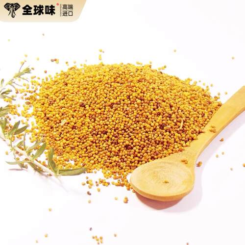 黄芥籽 黄芥子 Yellow mustard seed mustard seeds 50g