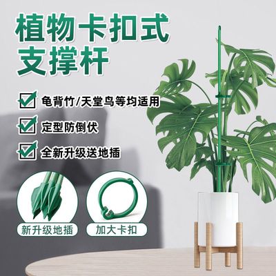 植物支撑杆花架固定器园艺扶持架花卉防倒伏花杆爬藤神器兰花支架