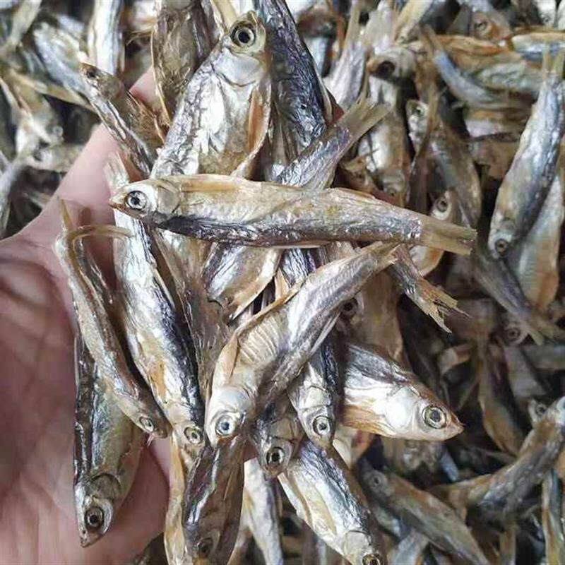 宠物零食小鱼干猫猫零食淡