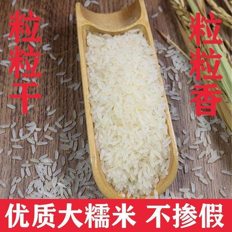 糯米阴米农家江米湖北天门特产熟冻米月子米煮粥优质熟糯米